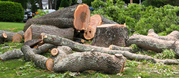 Leaf Removal in Village Green Green Ridge, PA